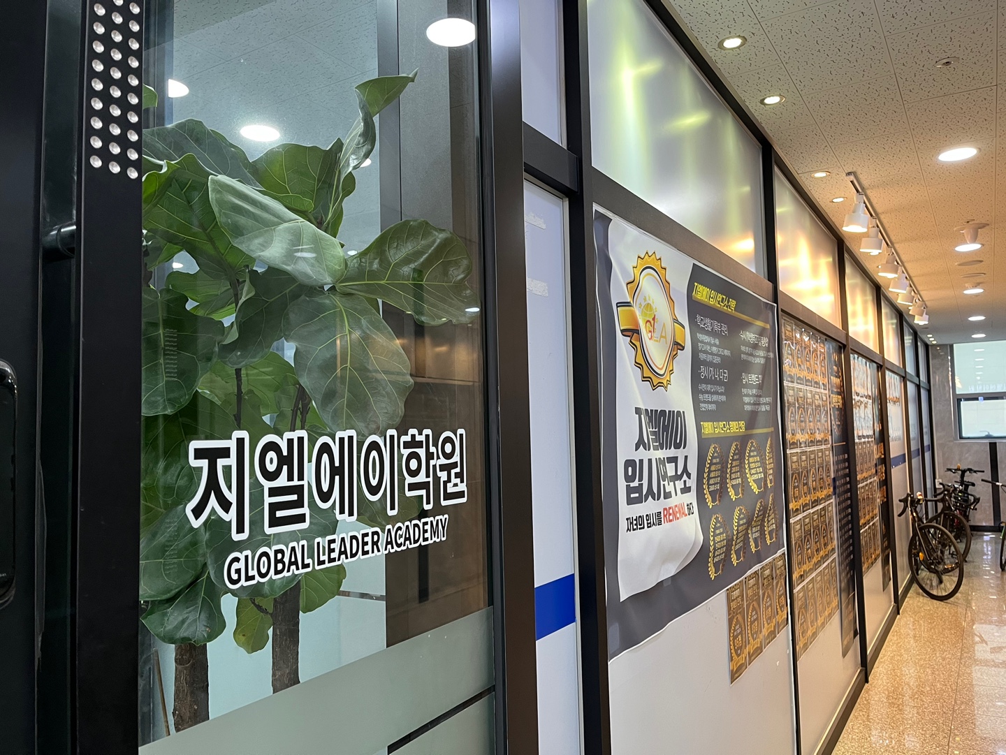 원문 사진