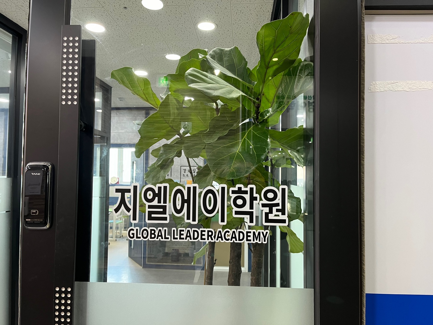 원문 사진
