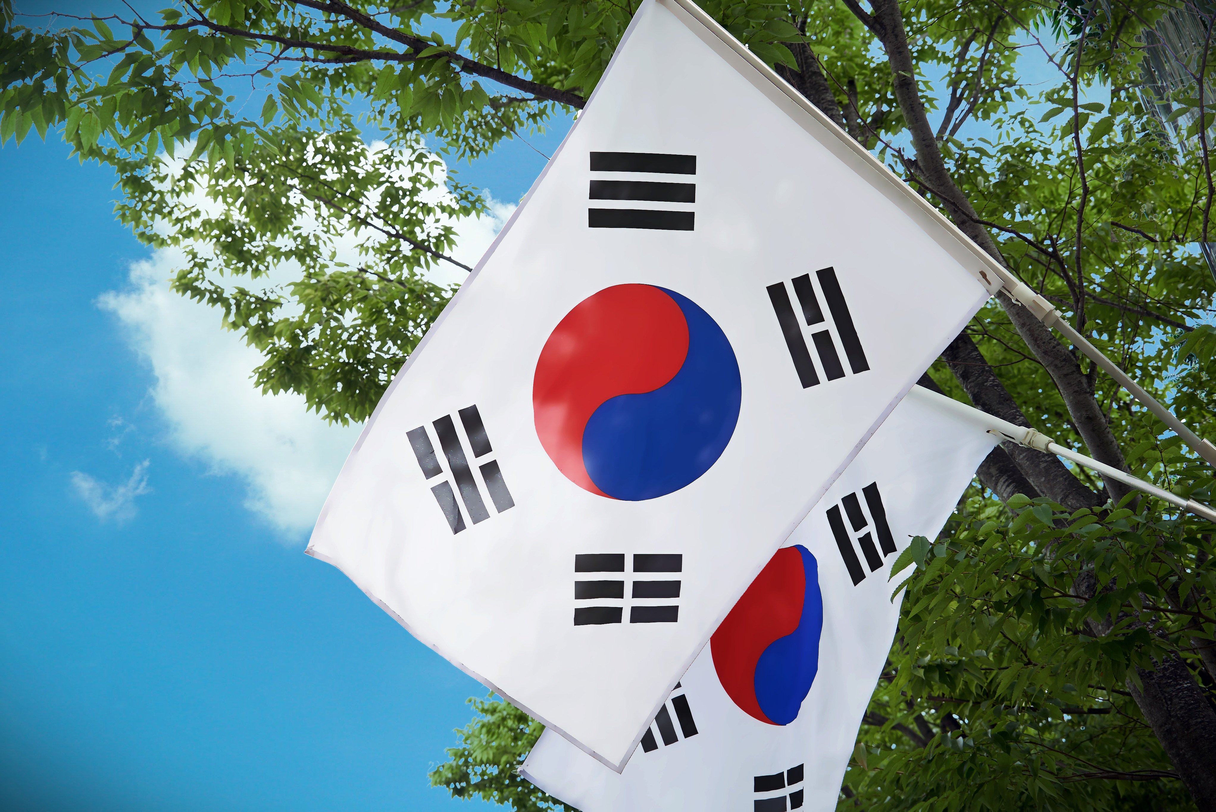 원문 사진